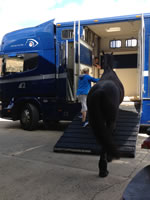 Olympics 2012 Horse transportation services by EyeSpyMyRide