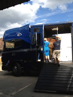 Olympics 2012 Horse transportation services by EyeSpyMyRide